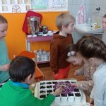 phoca_thumb_m_zajci set skupinovka 40 Fotogalerie